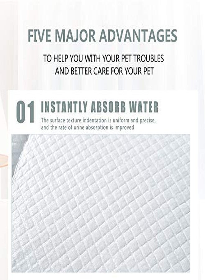 Dutiful Training Pet Potty and Pee Pads with Quick Drying Surface and Absorbent Core/Suitable for Small/Large Breed Puppies/Pets- (60 X 90 cm), 10 Pieces - Image 4